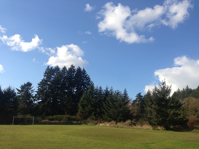 涯的啟示