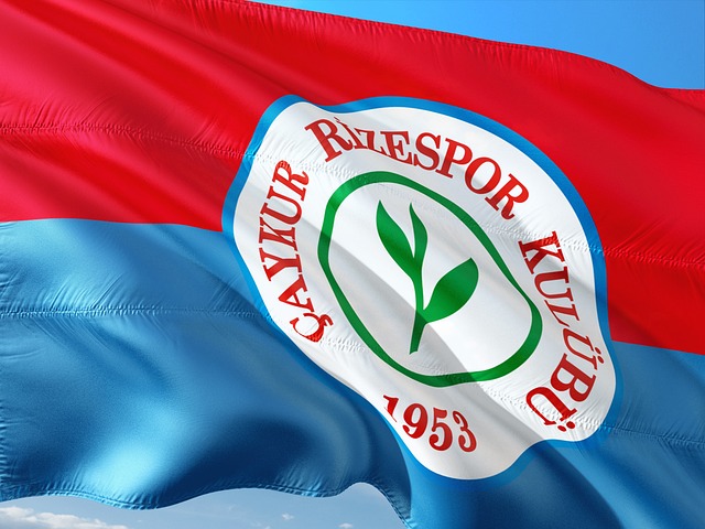 位意甲指挥 位意甲指挥