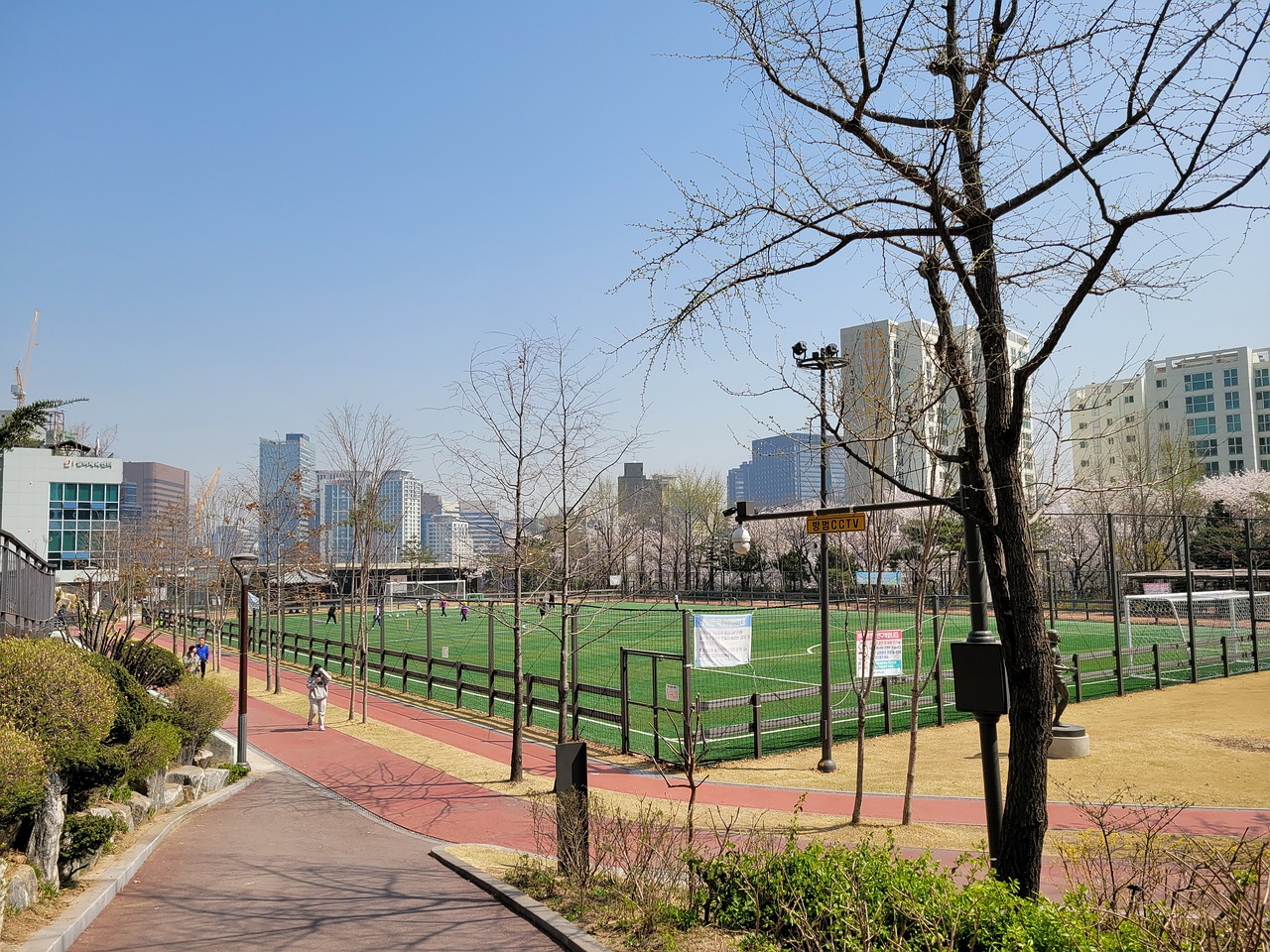 积分榜上的 积分榜上的