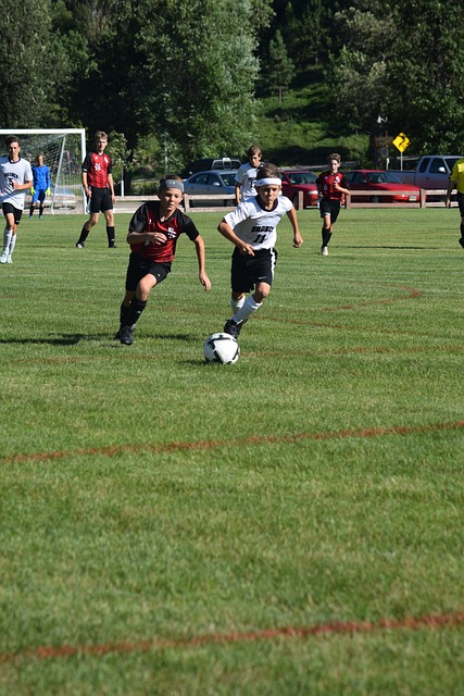 不过这也为 不过这也为