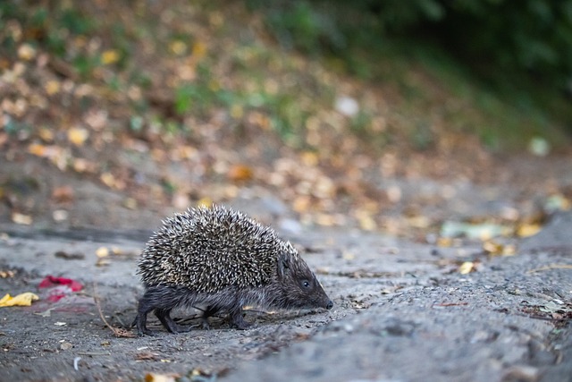 讓人感受到 讓人感受到