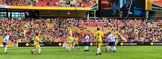 科学严谨的 科学严谨的