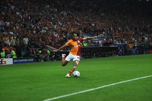 己的最强实 己的最强实