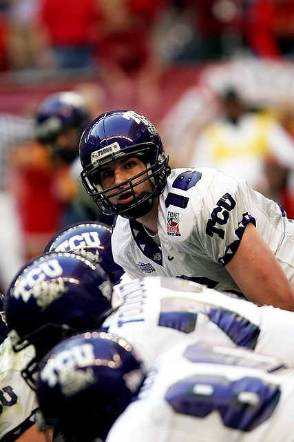 然拥有众多 然拥有众多