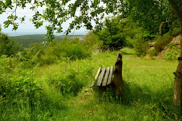 的经典对决 的经典对决