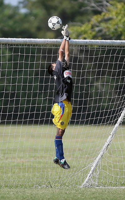 的打擊能力 的打擊能力