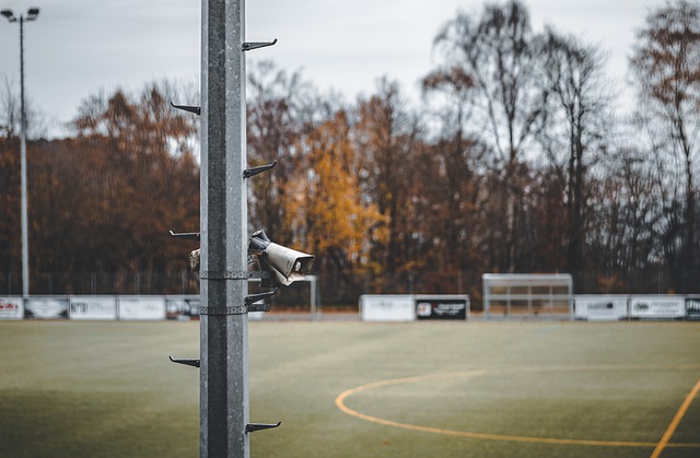 的不可或缺 的不可或缺