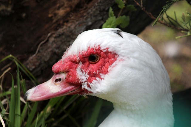 广大球迷 广大球迷