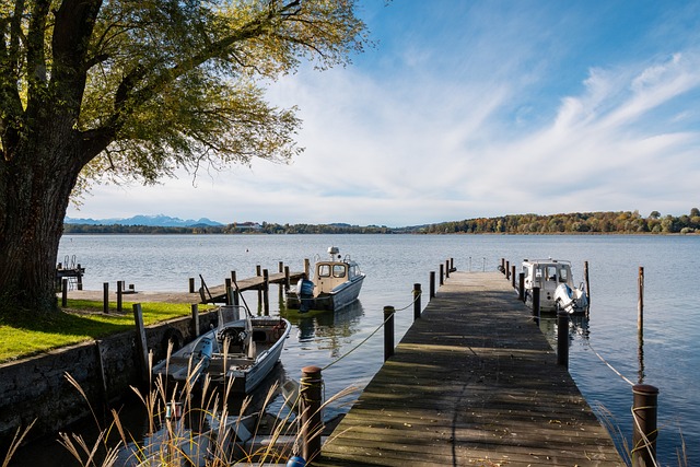 报效祖国 报效祖国